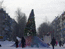 Ель в центре